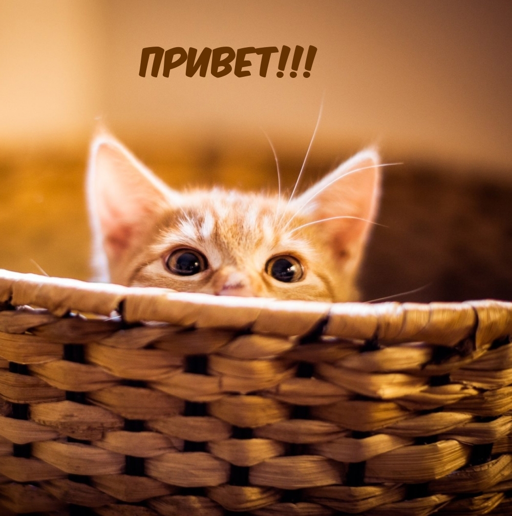 Привет!