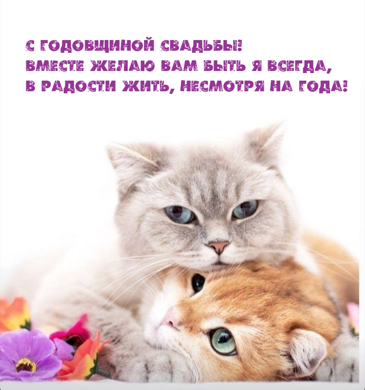 С годовщиной свадьбы! Вместе вам быть я всегда, в радости жить