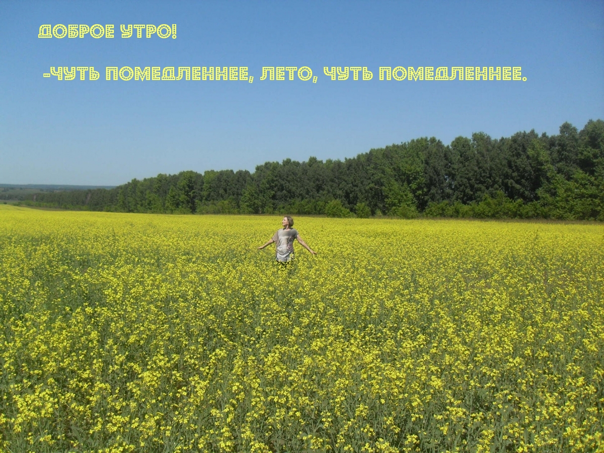 ДОБРОЕ УТРО! -Чуть помедленнее, лето, чуть помедленнее.
