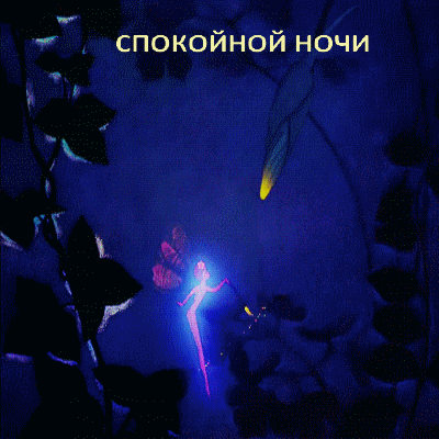 Спокойной ночи!