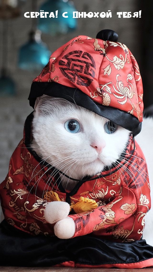 Серёга! С днюхой тебя!