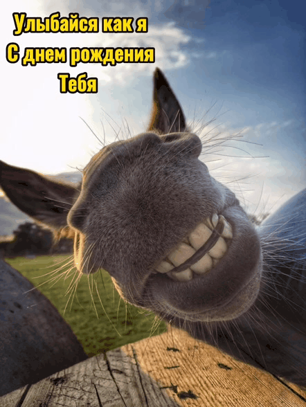 Улыбайся как я, с днем рождения тебя!