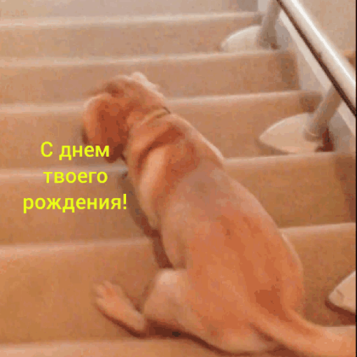 С Днём твоего рождения!
