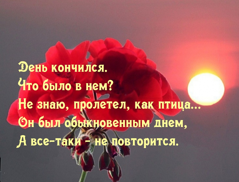 День кончился.  Что было в нем?