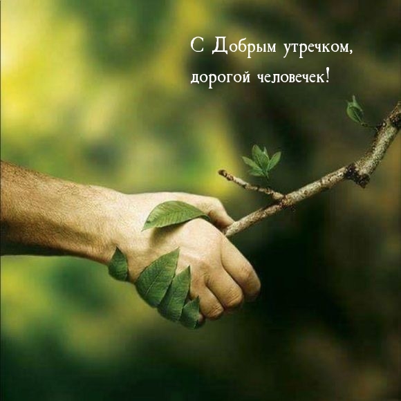 С Добрым утречком, дорогой человечек!
