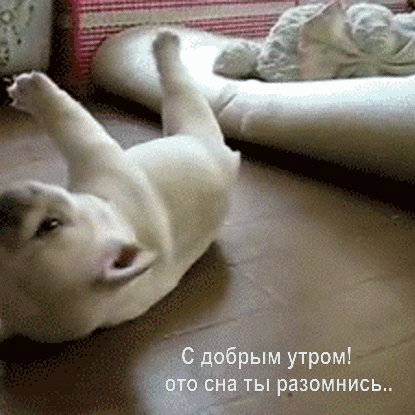 С добрым утром! ото сна ты разомнись..