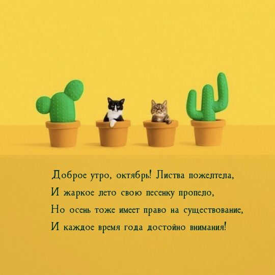 Доброе утро, октябрь! Листва пожелтела