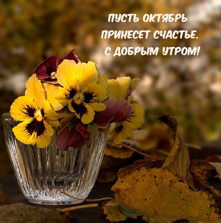 Пусть октябрь принесет счастье. С добрым утром!