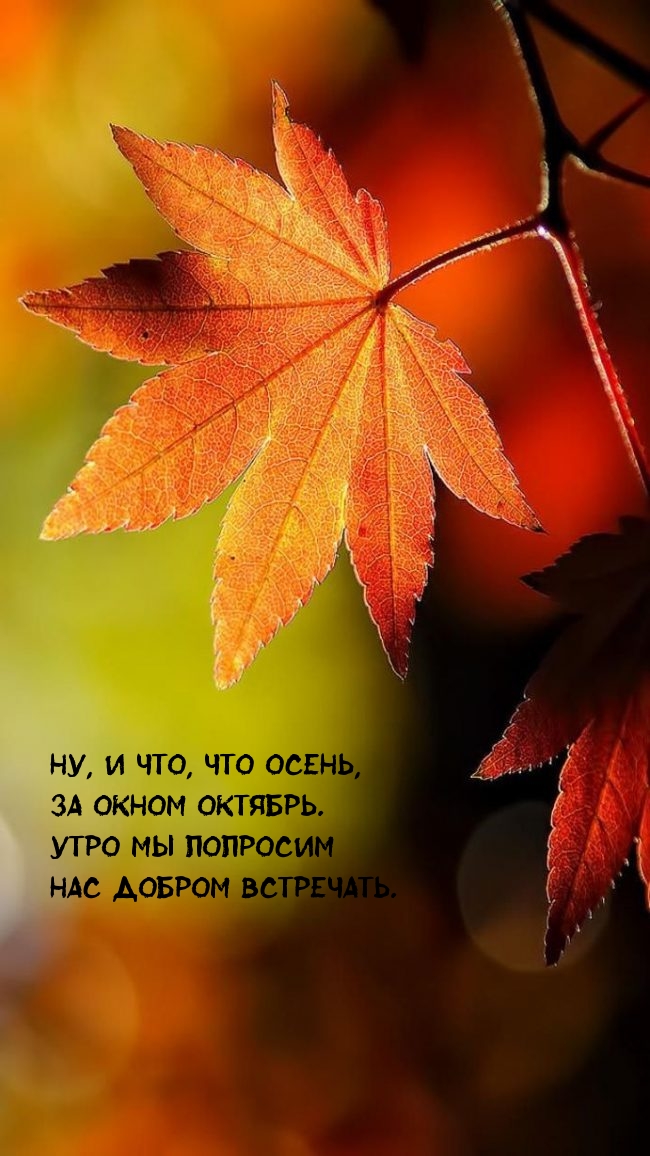 Ну, и что, что осень, за окном октябрь.
