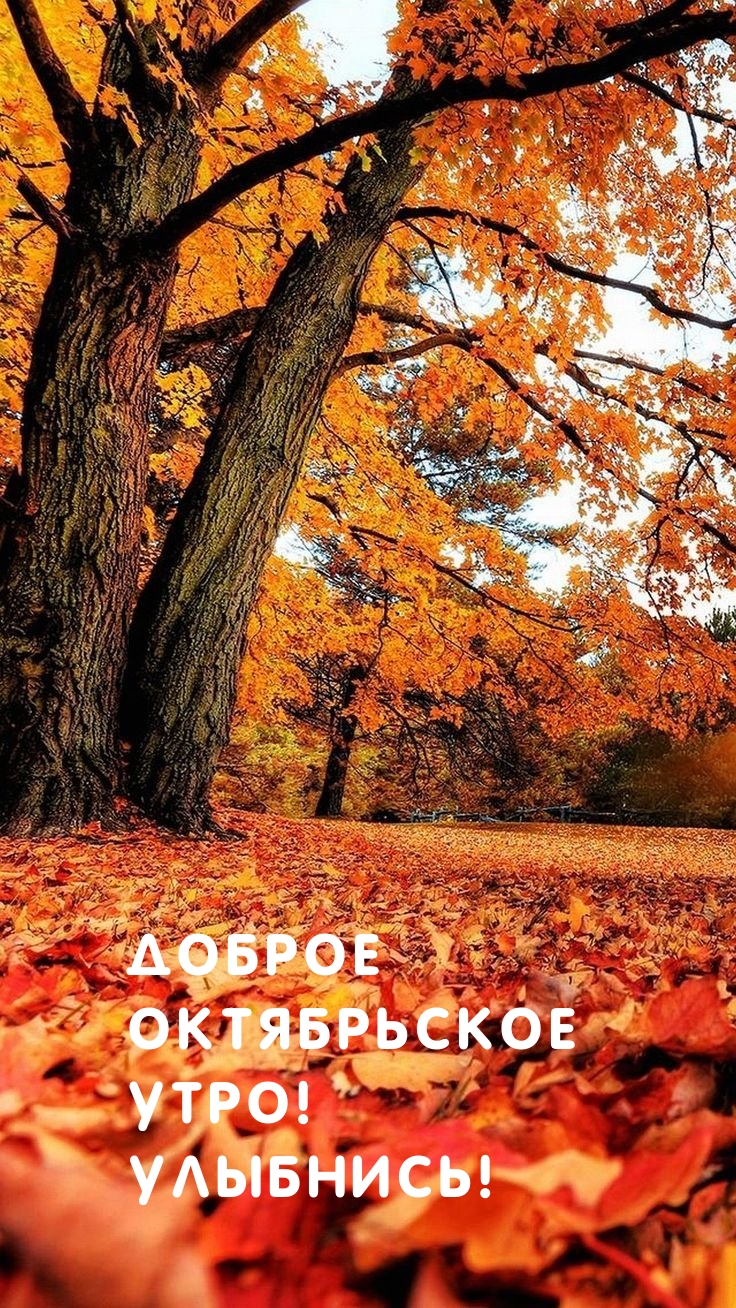Доброе октябрьское утро! Улыбнись!