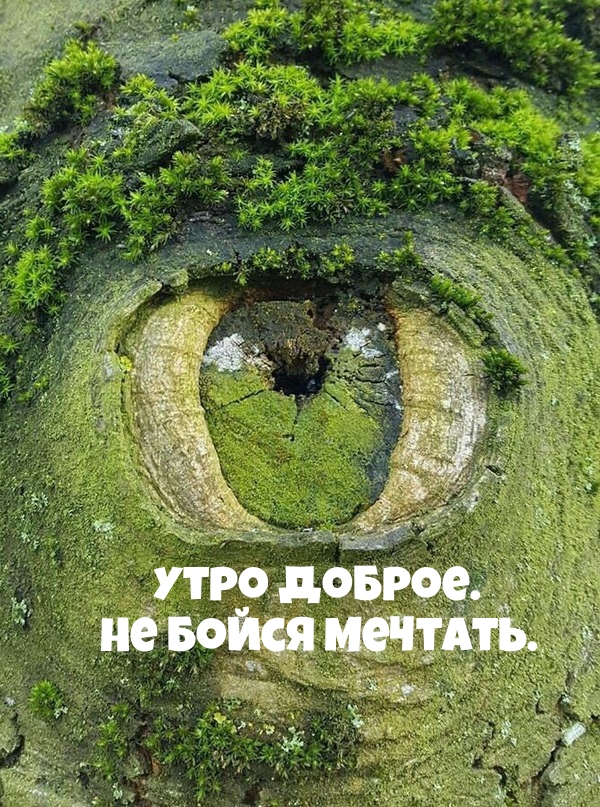 Утро доброе. Не бойся мечтать.