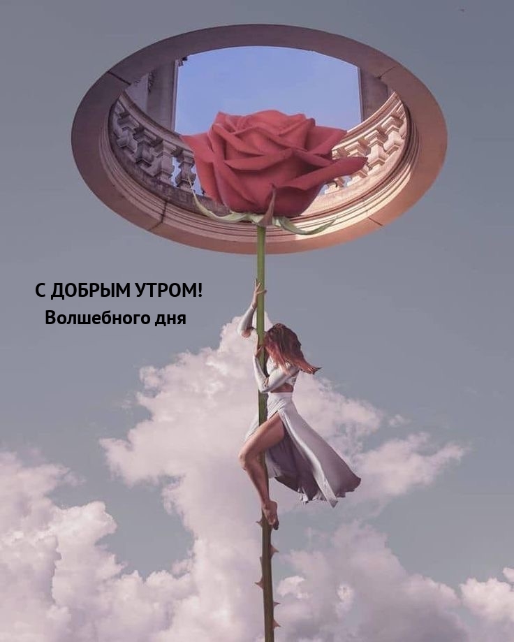 С ДОБРЫМ УТРОМ! Волшебного дня