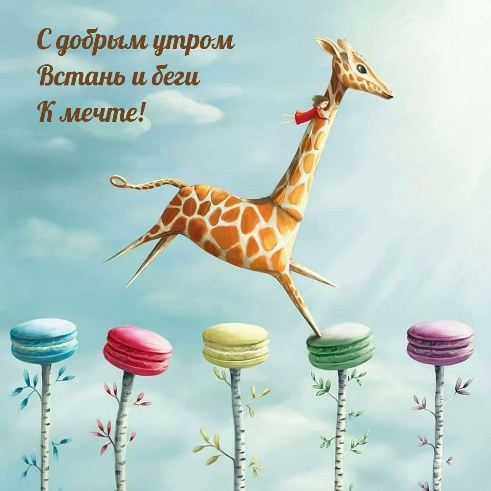 С добрым утром Встань и беги К мечте!