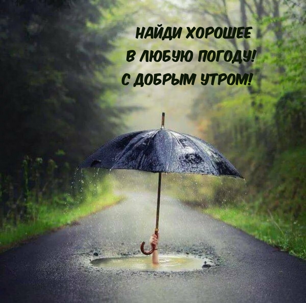 Найди хорошее В любую погоду! С добрым утром!