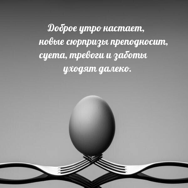Доброе утро настает, новые сюрпризы преподносит