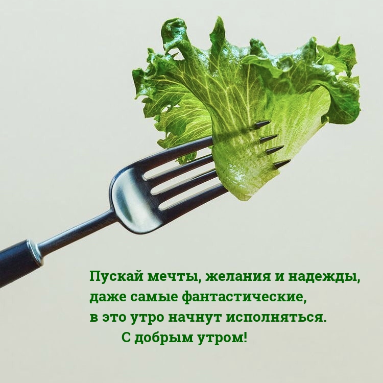 Пускай мечты, желания и надежды в это утро начнут исполняться.