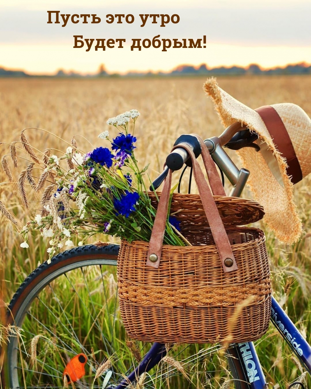 Пусть это утро Будет добрым!