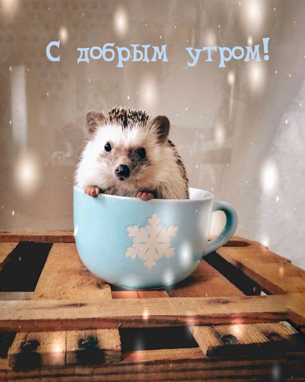 С добрым утром!