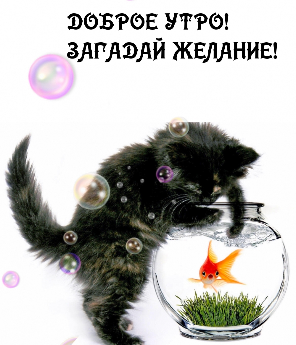 ДОБРОЕ УТРО! ЗАГАДАЙ ЖЕЛАНИЕ!