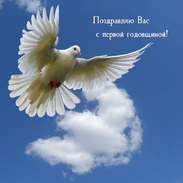 Картинки с надписями.  Поздравляю Вас с первой годовщиной!.