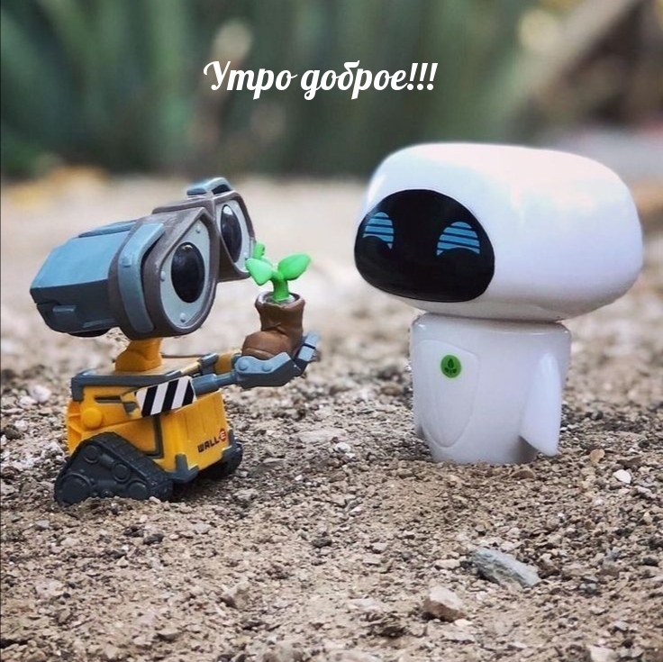 Утро доброе!