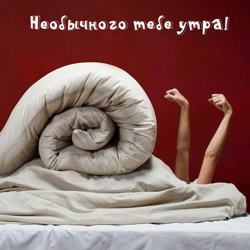 Необычного тебе утра!