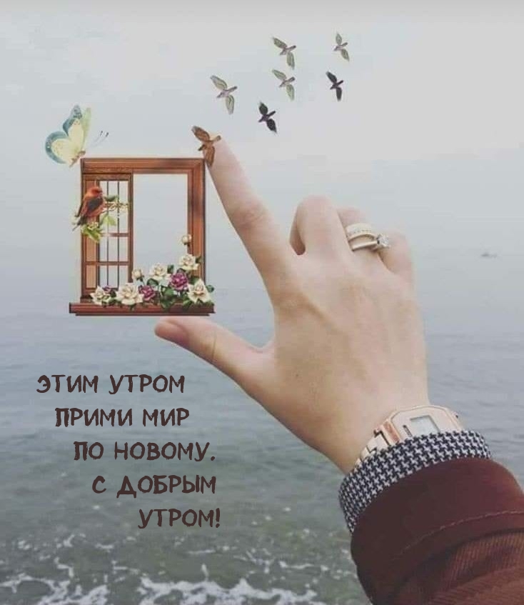 Этим утром прими мир по новому. С добрым Утром!