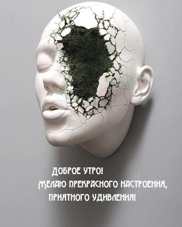 Доброе утро! Желаю прекрасного настроения