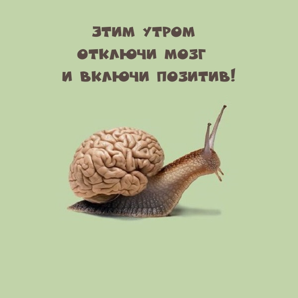 Этим утром отключи мозг и включи позитив!