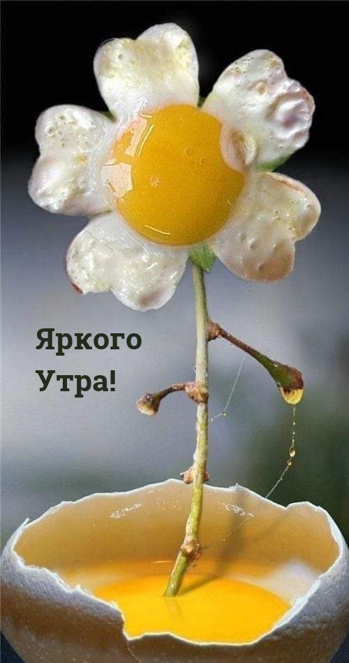 Яркого Утра!
