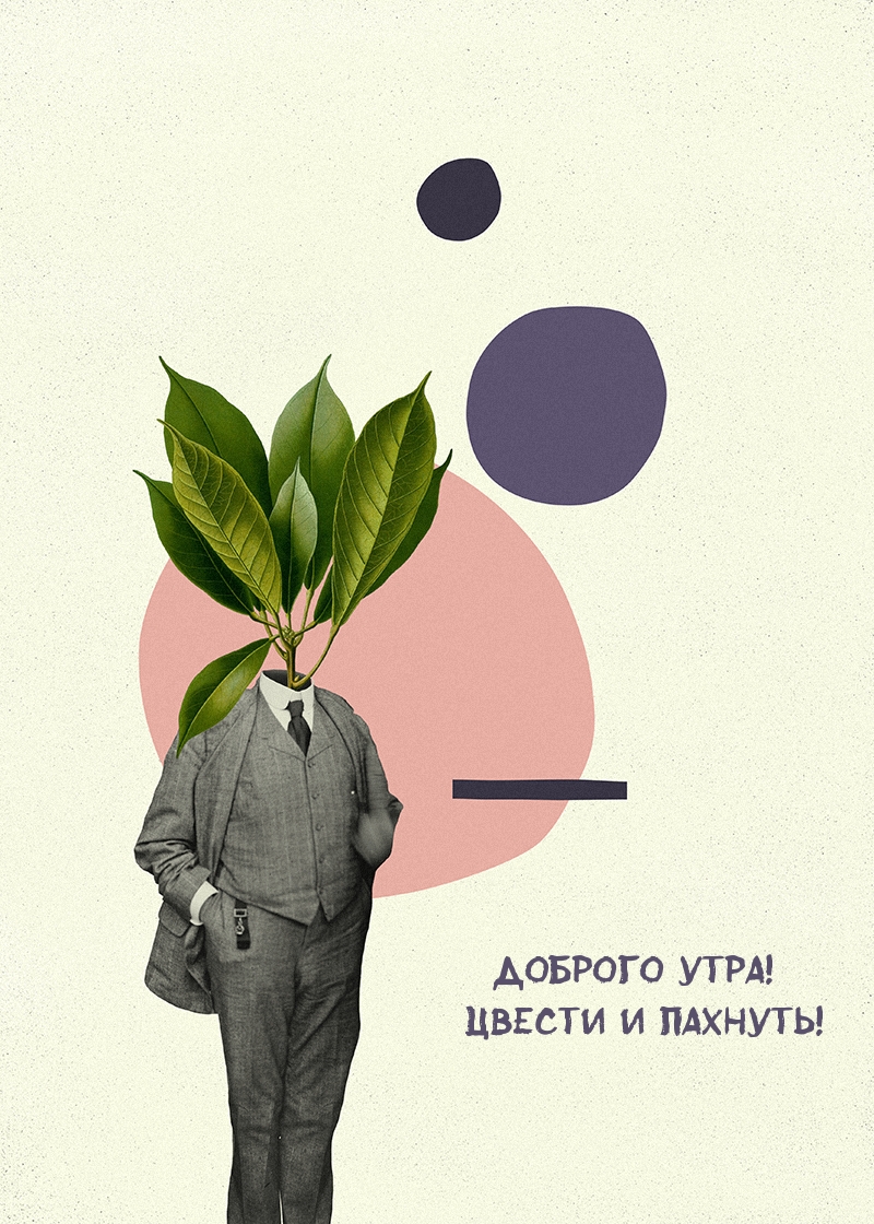 Доброго утра! Цвести и пахнуть!