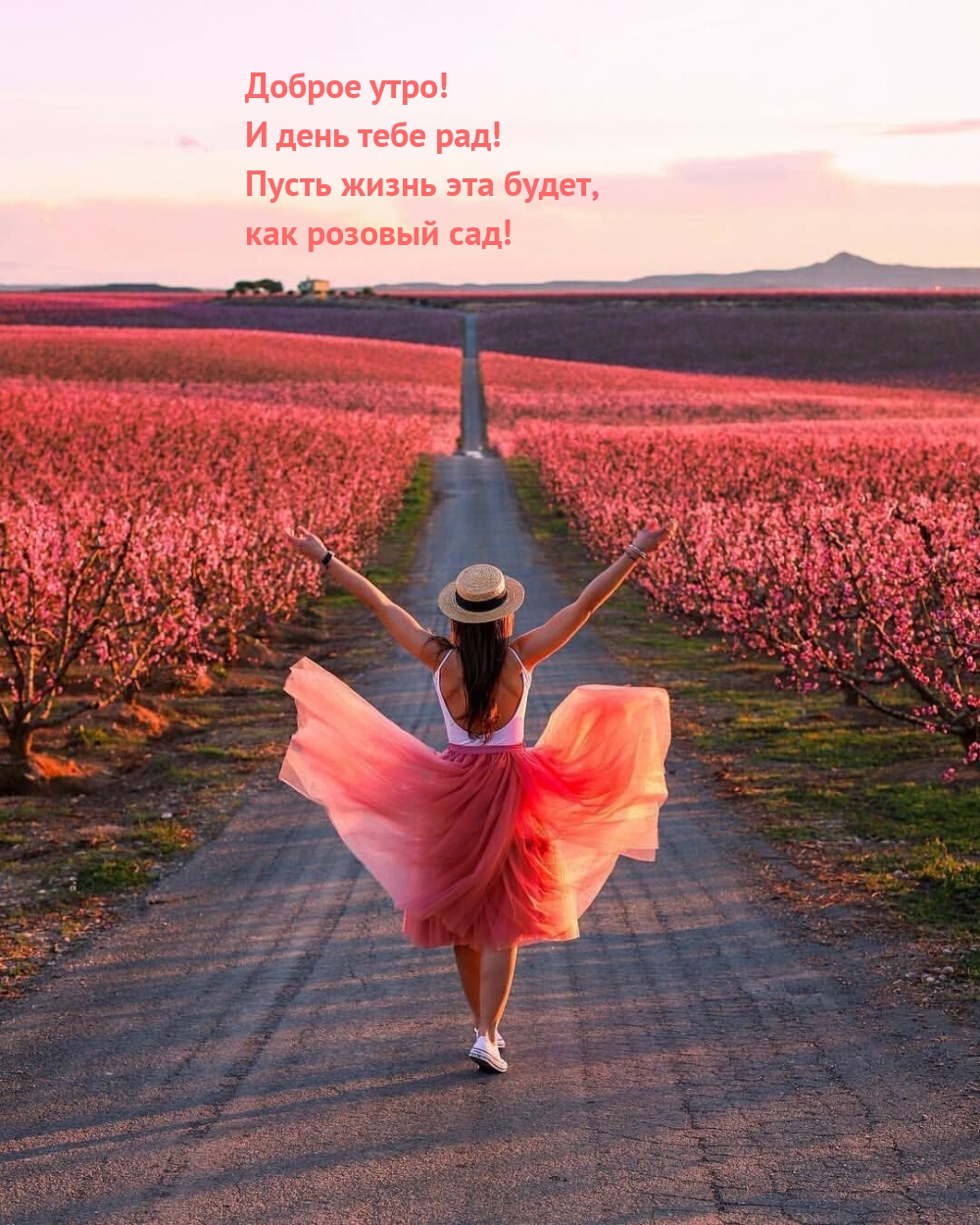 Доброе утро! Пусть жизнь эта будет, как розовый сад!