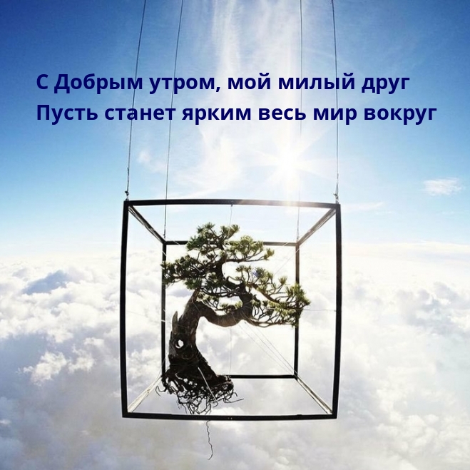 С Добрым утром, мой милый друг станет ярким весь мир вокруг