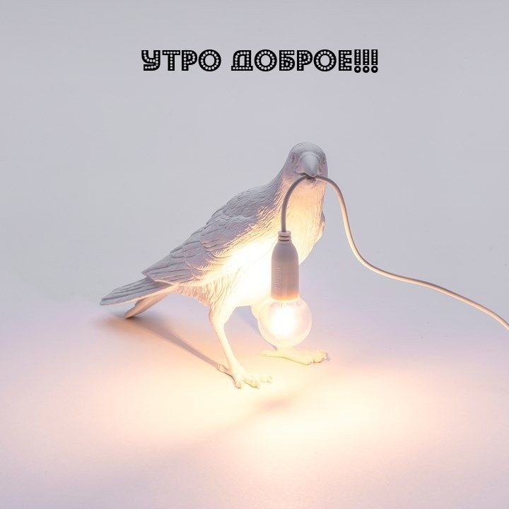 Утро доброе!