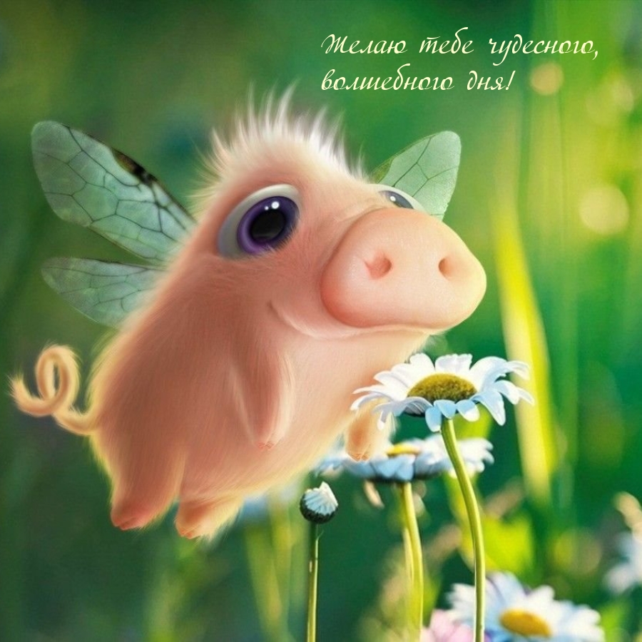 Желаю тебе чудесного, волшебного дня!