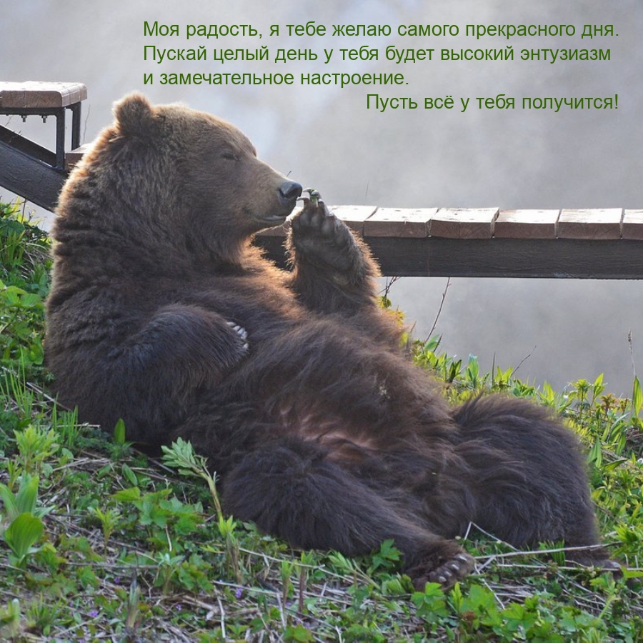 Моя радость, я тебе желаю самого прекрасного дня.