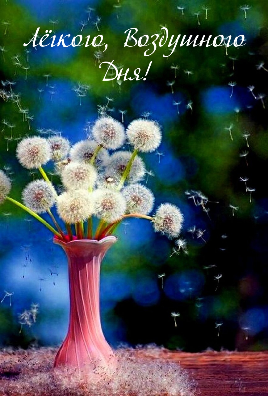 Лёгкого, Воздушного Дня!