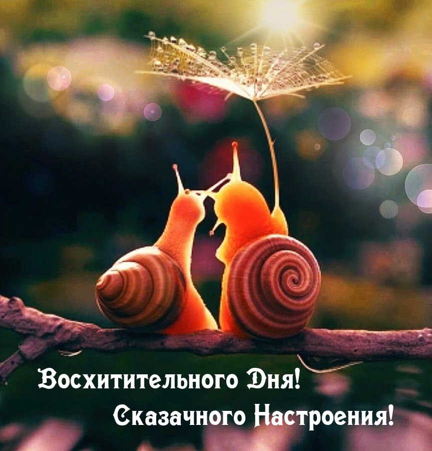 Восхитительного Дня! Сказачного Настроения!