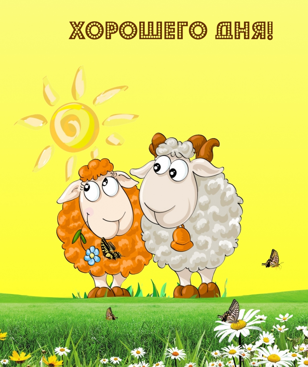 Хорошего дня!