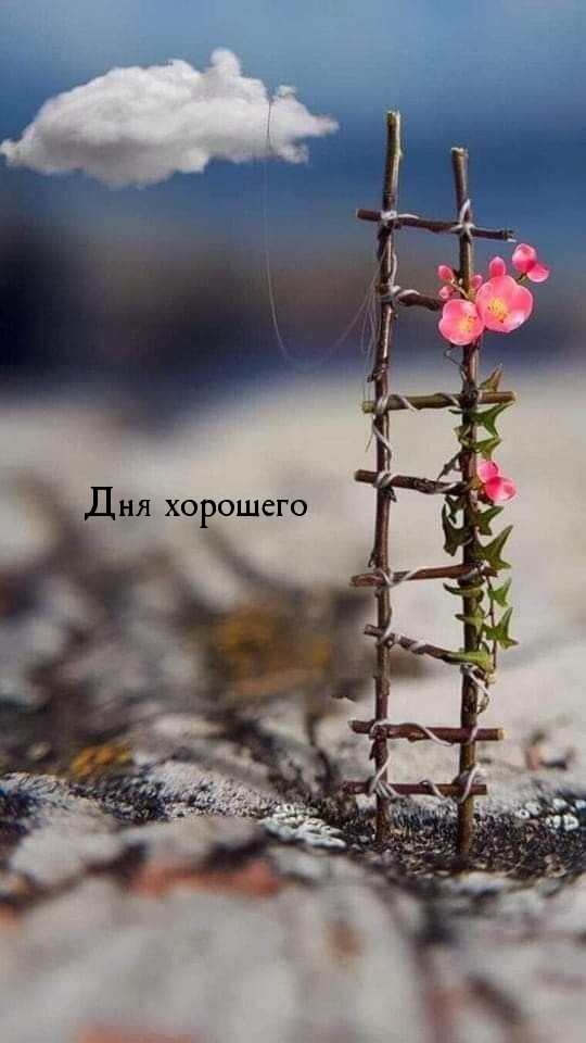 Дня хорошего