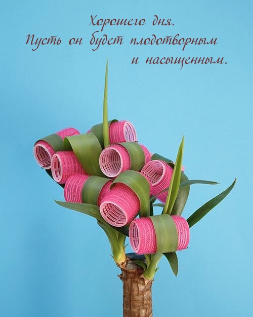 Хорошего дня. Пусть он будет плодотворным и насыщенным.