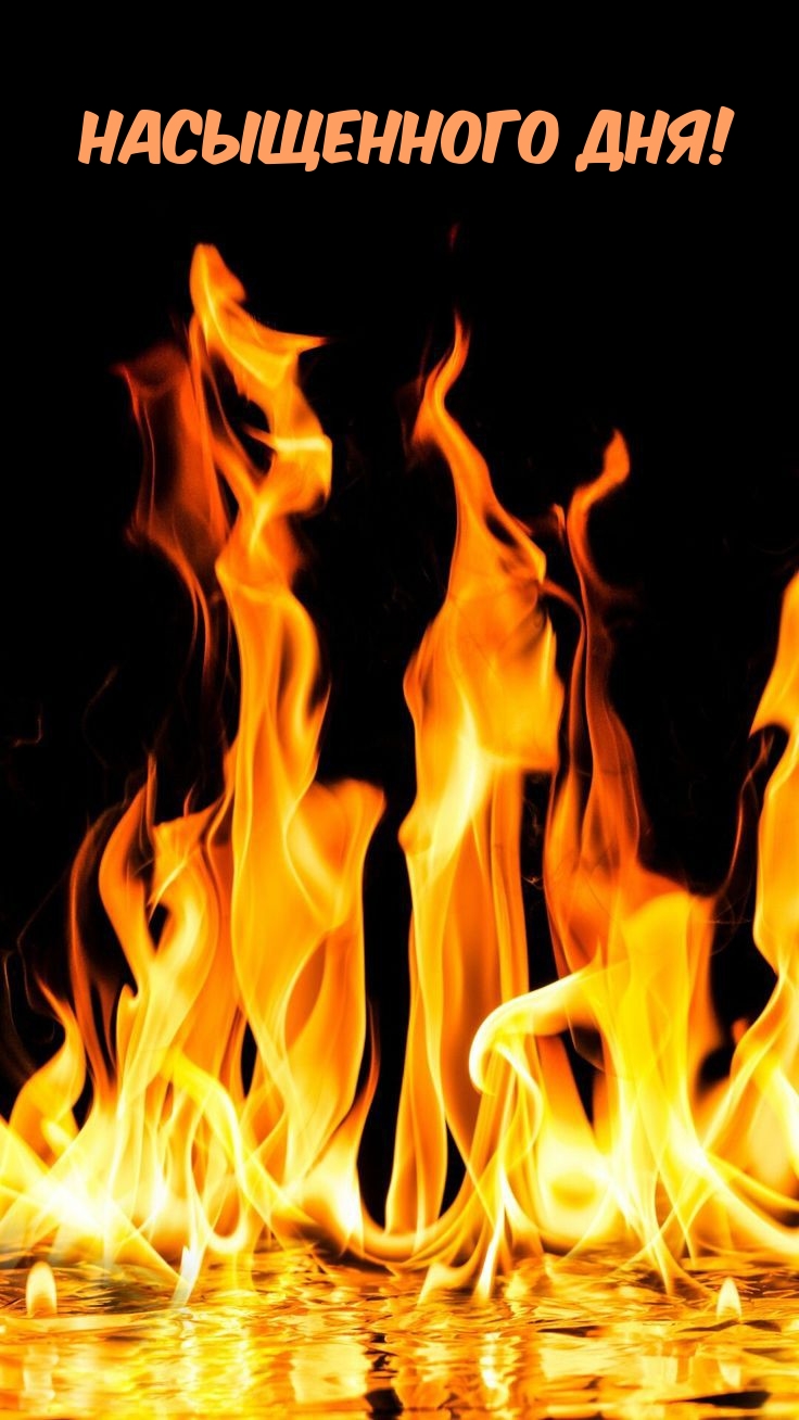 Насыщенного дня!