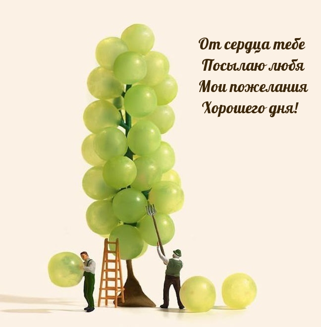 От сердца тебе посылаю любя Мои пожелания Хорошего дня!