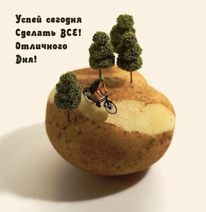Успей сегодня Сделать ВСЕ! Отличного Дня!