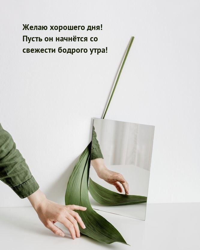 Желаю хорошего дня! Пусть он начнётся со свежести бодрого утра!