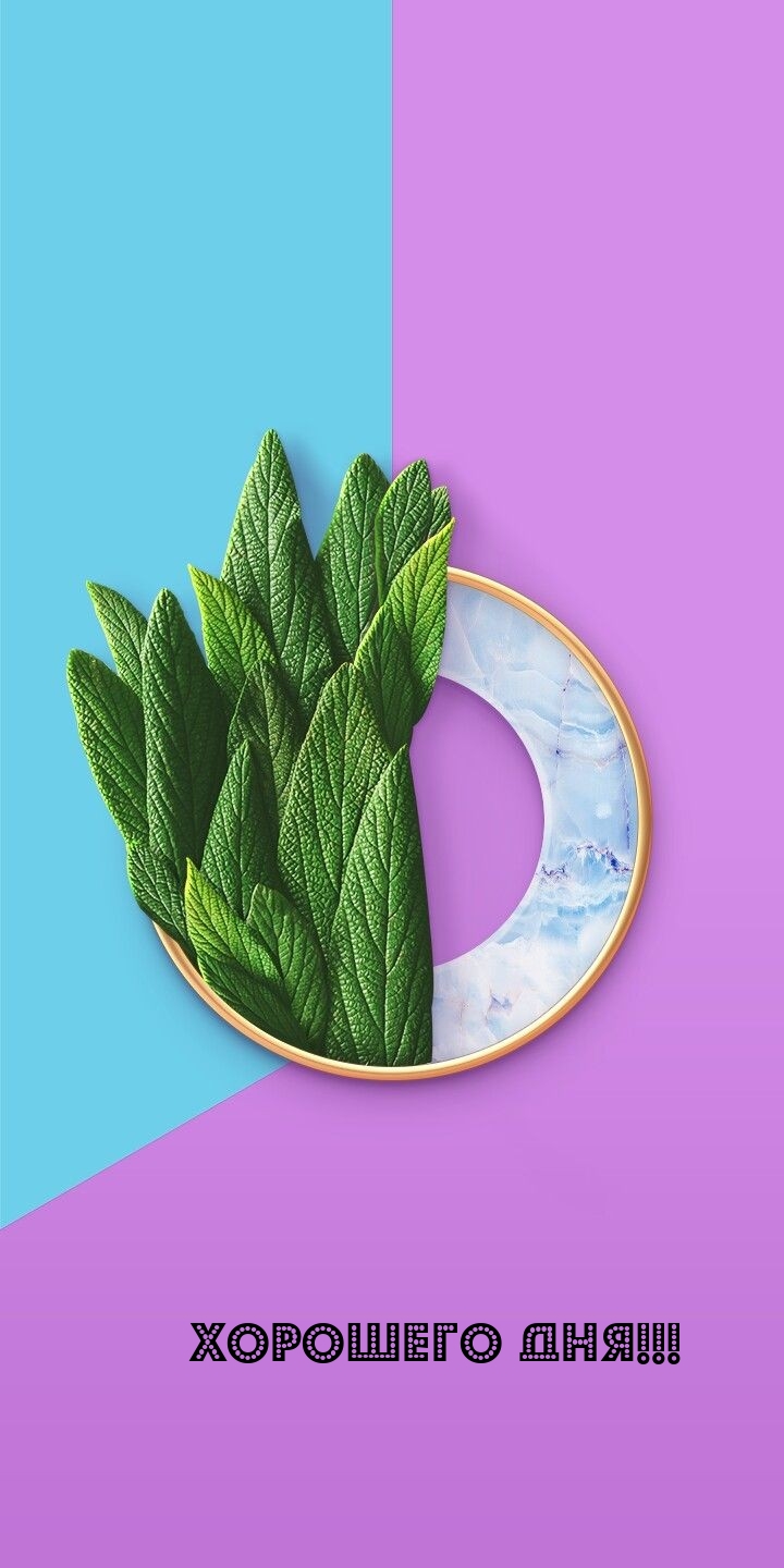 ХОРОШЕГО ДНЯ!