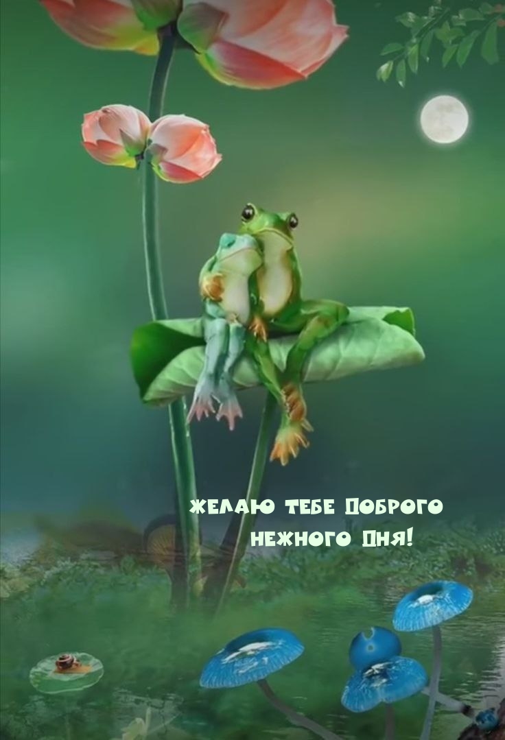Желаю тебе доброго нежного дня!