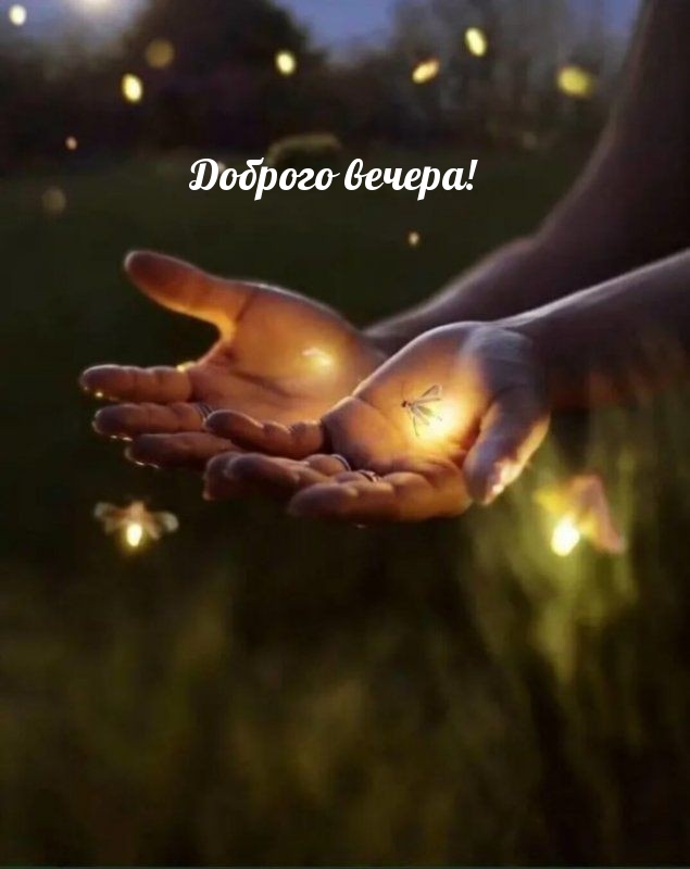 Доброго вечера!