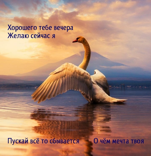 Хорошего тебе вечера сейчас