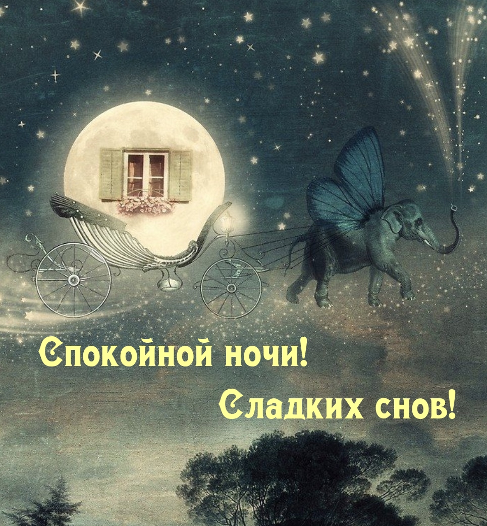 Спокойной ночи! Сладких снов!